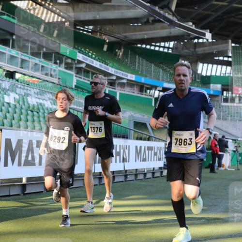 06.10.2024 - 19. swb-Marathon Bremen Yannick Fuchs http://msf.ph/oto/7381542 06.10.2024 10:21:44 Laufen im Stadion 7019, 7376, 7646, 7839, 7963, 8292, 8583, 8602, 8631, 8792, 8797 meine-sportfotos.de