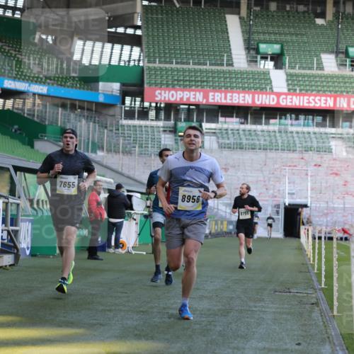 06.10.2024 - 19. swb-Marathon Bremen Yannick Fuchs http://msf.ph/oto/7381811 06.10.2024 10:22:02 Laufen im Stadion 7019, 7376, 7646, 7655, 7839, 7963, 8198, 8292, 8511, 8583, 8631, 8755, 8781, 8792, 8797, 8956 meine-sportfotos.de