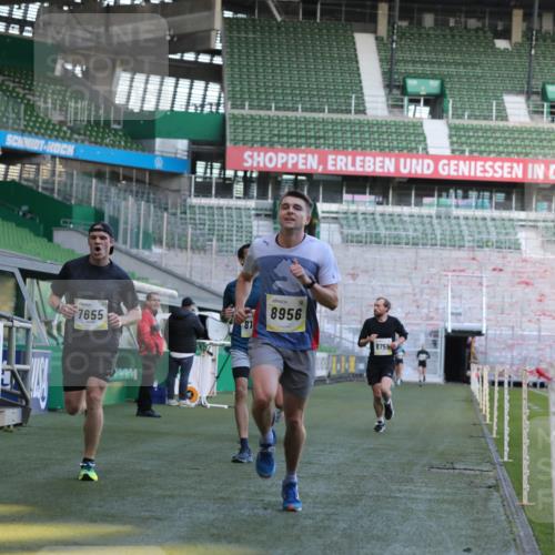 06.10.2024 - 19. swb-Marathon Bremen Yannick Fuchs http://msf.ph/oto/7381824 06.10.2024 10:22:02 Laufen im Stadion 7019, 7376, 7646, 7655, 7839, 7963, 8198, 8292, 8511, 8583, 8631, 8755, 8781, 8792, 8797, 8956 meine-sportfotos.de