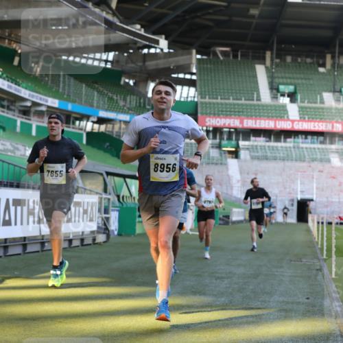 06.10.2024 - 19. swb-Marathon Bremen Yannick Fuchs http://msf.ph/oto/7381870 06.10.2024 10:22:03 Laufen im Stadion 7019, 7376, 7646, 7655, 7839, 7963, 8198, 8292, 8511, 8583, 8631, 8755, 8781, 8792, 8797, 8956 meine-sportfotos.de