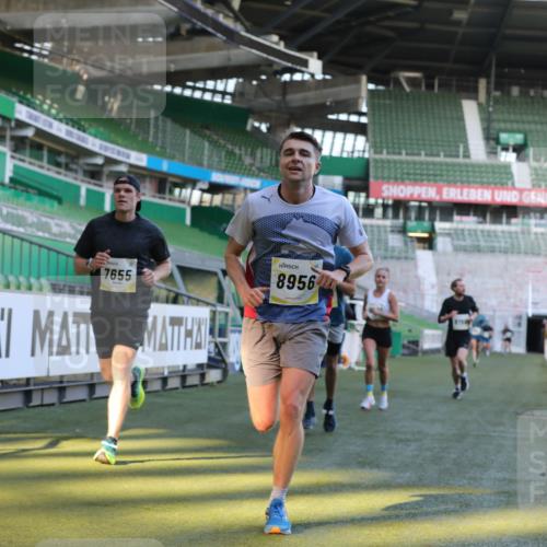 06.10.2024 - 19. swb-Marathon Bremen Yannick Fuchs http://msf.ph/oto/7381875 06.10.2024 10:22:03 Laufen im Stadion 7019, 7376, 7646, 7655, 7839, 7963, 8198, 8292, 8511, 8583, 8631, 8755, 8781, 8792, 8797, 8956 meine-sportfotos.de