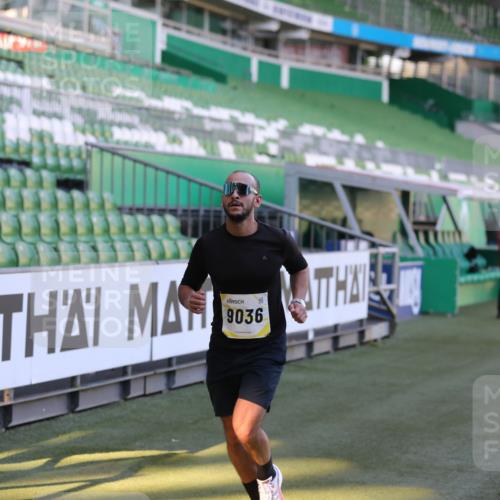 06.10.2024 - 19. swb-Marathon Bremen Yannick Fuchs http://msf.ph/oto/7382555 06.10.2024 10:22:55 Laufen im Stadion 7105, 7157, 7649, 7993, 8275, 8341, 8466, 9033, 9036, 9087, 9122 meine-sportfotos.de