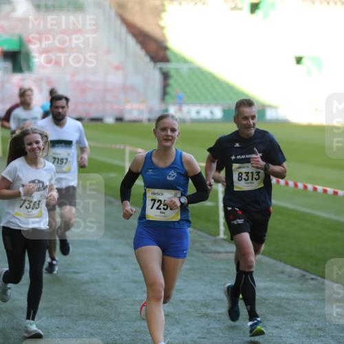 06.10.2024 - 19. swb-Marathon Bremen Yannick Fuchs http://msf.ph/oto/7383108 06.10.2024 10:24:42 Laufen im Stadion 7081, 7196, 7197, 7259, 7363, 7536, 7555, 7571, 7584, 7648, 7650, 7759, 8094, 8209, 8226, 8311, 8313, 8329, 8441, 8454, 8654, 8785, 8796, 8813, 8831, 8939, 8962, 9019, 9064, 9082, 9124 meine-sportfotos.de