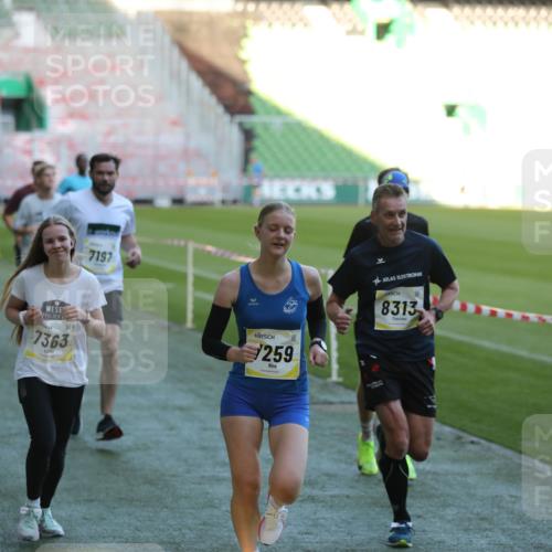 06.10.2024 - 19. swb-Marathon Bremen Yannick Fuchs http://msf.ph/oto/7383113 06.10.2024 10:24:42 Laufen im Stadion 7081, 7196, 7197, 7259, 7363, 7536, 7555, 7571, 7584, 7648, 7650, 7759, 8094, 8209, 8226, 8311, 8313, 8329, 8441, 8454, 8654, 8785, 8796, 8813, 8831, 8939, 8962, 9019, 9064, 9082, 9124 meine-sportfotos.de