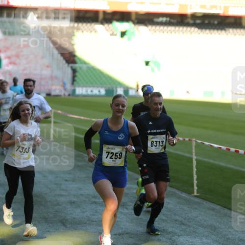 06.10.2024 - 19. swb-Marathon Bremen Yannick Fuchs http://msf.ph/oto/7383123 06.10.2024 10:24:42 Laufen im Stadion 7081, 7196, 7197, 7259, 7363, 7536, 7555, 7571, 7584, 7648, 7650, 7759, 8094, 8209, 8226, 8311, 8313, 8329, 8441, 8454, 8654, 8785, 8796, 8813, 8831, 8939, 8962, 9019, 9064, 9082, 9124 meine-sportfotos.de
