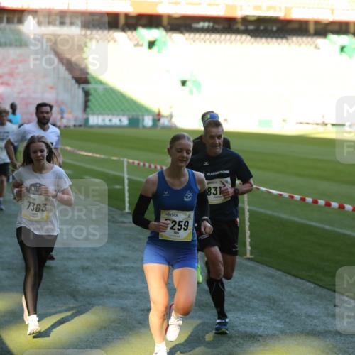 06.10.2024 - 19. swb-Marathon Bremen Yannick Fuchs http://msf.ph/oto/7383157 06.10.2024 10:24:42 Laufen im Stadion 7081, 7196, 7197, 7259, 7363, 7536, 7555, 7571, 7584, 7648, 7650, 7759, 8094, 8209, 8226, 8311, 8313, 8329, 8441, 8454, 8654, 8785, 8796, 8813, 8831, 8939, 8962, 9019, 9064, 9082, 9124 meine-sportfotos.de