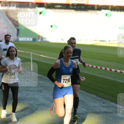 06.10.2024 - 19. swb-Marathon Bremen Yannick Fuchs http://msf.ph/oto/7383178 06.10.2024 10:24:43 Laufen im Stadion 7081, 7196, 7197, 7259, 7363, 7536, 7555, 7571, 7584, 7648, 7650, 7759, 8094, 8209, 8226, 8311, 8313, 8329, 8441, 8454, 8654, 8785, 8796, 8813, 8831, 8939, 8962, 9019, 9064, 9124 meine-sportfotos.de