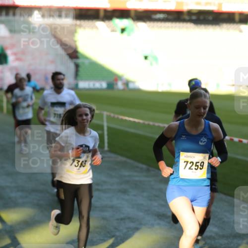06.10.2024 - 19. swb-Marathon Bremen Yannick Fuchs http://msf.ph/oto/7383180 06.10.2024 10:24:43 Laufen im Stadion 7081, 7196, 7197, 7259, 7363, 7536, 7555, 7571, 7584, 7648, 7650, 7759, 8094, 8209, 8226, 8311, 8313, 8329, 8441, 8454, 8654, 8785, 8796, 8813, 8831, 8939, 8962, 9019, 9064, 9124 meine-sportfotos.de