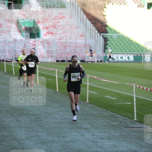 06.10.2024 - 19. swb-Marathon Bremen Yannick Fuchs http://msf.ph/oto/7383618 06.10.2024 10:24:53 Laufen im Stadion 7197, 7259, 7363, 7555, 7571, 7648, 7650, 7759, 8094, 8209, 8226, 8310, 8311, 8313, 8329, 8445, 8454, 8517, 8654, 8785, 8796, 8813, 8939, 8962, 9019, 9064, 9124 meine-sportfotos.de