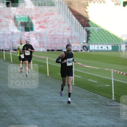 06.10.2024 - 19. swb-Marathon Bremen Yannick Fuchs http://msf.ph/oto/7383641 06.10.2024 10:24:53 Laufen im Stadion 7197, 7259, 7363, 7555, 7571, 7648, 7650, 7759, 8094, 8209, 8226, 8310, 8311, 8313, 8329, 8445, 8454, 8517, 8654, 8785, 8796, 8813, 8939, 8962, 9019, 9064, 9124 meine-sportfotos.de