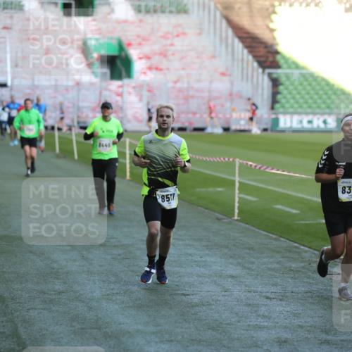 06.10.2024 - 19. swb-Marathon Bremen Yannick Fuchs http://msf.ph/oto/7383862 06.10.2024 10:24:59 Laufen im Stadion 7197, 7259, 7363, 7555, 7571, 7648, 7650, 7756, 8209, 8226, 8310, 8311, 8313, 8329, 8445, 8454, 8517, 8654, 8785, 8796, 8939, 8962, 9064, 9124 meine-sportfotos.de