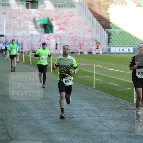 06.10.2024 - 19. swb-Marathon Bremen Yannick Fuchs http://msf.ph/oto/7383872 06.10.2024 10:24:59 Laufen im Stadion 7197, 7259, 7363, 7555, 7571, 7648, 7650, 7756, 8209, 8226, 8310, 8311, 8313, 8329, 8445, 8454, 8517, 8654, 8785, 8796, 8939, 8962, 9064, 9124 meine-sportfotos.de