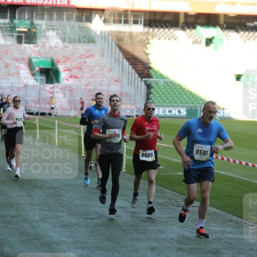 06.10.2024 - 19. swb-Marathon Bremen Yannick Fuchs http://msf.ph/oto/7384359 06.10.2024 10:25:14 Laufen im Stadion 7197, 7259, 7260, 7363, 7571, 7650, 7756, 7826, 7906, 8209, 8228, 8242, 8310, 8311, 8412, 8445, 8478, 8517, 8666, 8671, 8672, 8680, 8749, 8796, 8812, 8939, 8962, 8975 meine-sportfotos.de