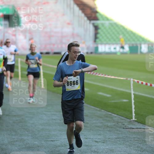 06.10.2024 - 19. swb-Marathon Bremen Yannick Fuchs http://msf.ph/oto/7384624 06.10.2024 10:25:21 Laufen im Stadion 7260, 7756, 7826, 7906, 8209, 8228, 8242, 8310, 8412, 8445, 8478, 8517, 8666, 8671, 8672, 8680, 8713, 8715, 8749, 8806, 8812, 8939, 8962, 8975 meine-sportfotos.de