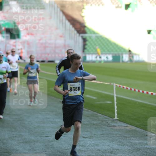 06.10.2024 - 19. swb-Marathon Bremen Yannick Fuchs http://msf.ph/oto/7384649 06.10.2024 10:25:21 Laufen im Stadion 7260, 7756, 7826, 7906, 8209, 8228, 8242, 8310, 8412, 8445, 8478, 8517, 8666, 8671, 8672, 8680, 8713, 8715, 8749, 8806, 8812, 8939, 8962, 8975 meine-sportfotos.de