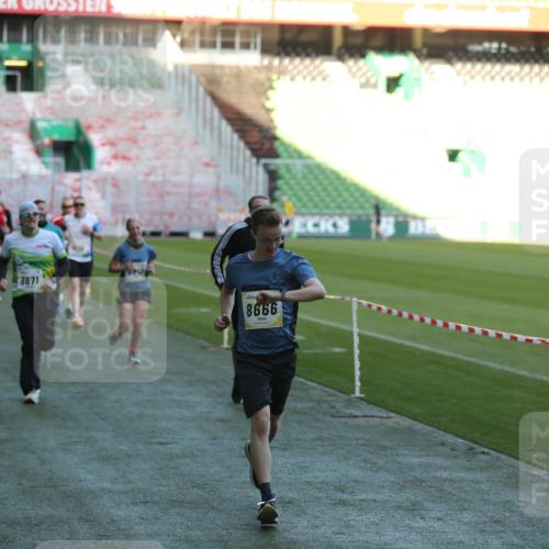 06.10.2024 - 19. swb-Marathon Bremen Yannick Fuchs http://msf.ph/oto/7384670 06.10.2024 10:25:22 Laufen im Stadion 7260, 7756, 7826, 7906, 8209, 8228, 8242, 8310, 8412, 8445, 8478, 8517, 8666, 8671, 8672, 8680, 8713, 8715, 8749, 8806, 8812, 8905, 8939, 8962, 8975 meine-sportfotos.de