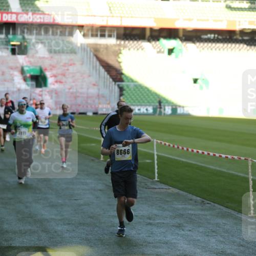 06.10.2024 - 19. swb-Marathon Bremen Yannick Fuchs http://msf.ph/oto/7384687 06.10.2024 10:25:22 Laufen im Stadion 7260, 7756, 7826, 7906, 8209, 8228, 8242, 8310, 8412, 8445, 8478, 8517, 8666, 8671, 8672, 8680, 8713, 8715, 8749, 8806, 8812, 8905, 8939, 8962, 8975 meine-sportfotos.de