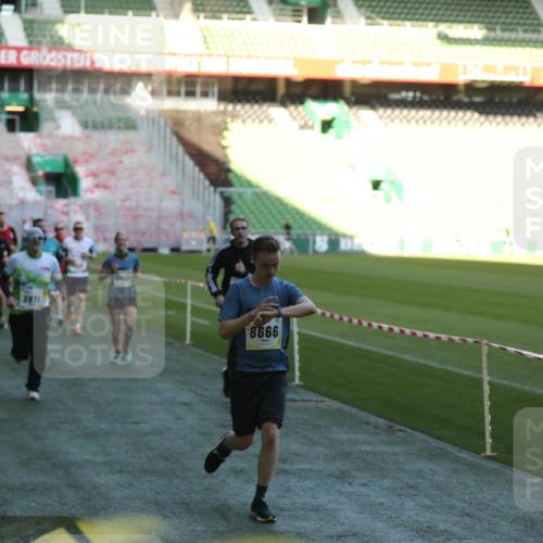 06.10.2024 - 19. swb-Marathon Bremen Yannick Fuchs http://msf.ph/oto/7384718 06.10.2024 10:25:22 Laufen im Stadion 7260, 7756, 7826, 7906, 8209, 8228, 8242, 8310, 8412, 8445, 8478, 8517, 8666, 8671, 8672, 8680, 8713, 8715, 8749, 8806, 8812, 8905, 8939, 8962, 8975 meine-sportfotos.de