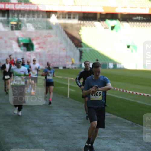 06.10.2024 - 19. swb-Marathon Bremen Yannick Fuchs http://msf.ph/oto/7384726 06.10.2024 10:25:22 Laufen im Stadion 7260, 7756, 7826, 7906, 8209, 8228, 8242, 8310, 8412, 8445, 8478, 8517, 8666, 8671, 8672, 8680, 8713, 8715, 8749, 8806, 8812, 8905, 8939, 8962, 8975 meine-sportfotos.de