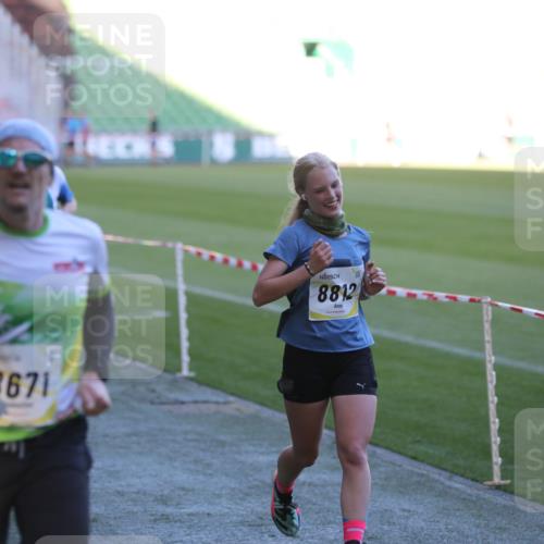 06.10.2024 - 19. swb-Marathon Bremen Yannick Fuchs http://msf.ph/oto/7384856 06.10.2024 10:25:26 Laufen im Stadion 7260, 7756, 7826, 7906, 8228, 8242, 8310, 8412, 8445, 8478, 8497, 8517, 8666, 8671, 8672, 8680, 8713, 8715, 8749, 8806, 8812, 8905, 8939, 8975 meine-sportfotos.de