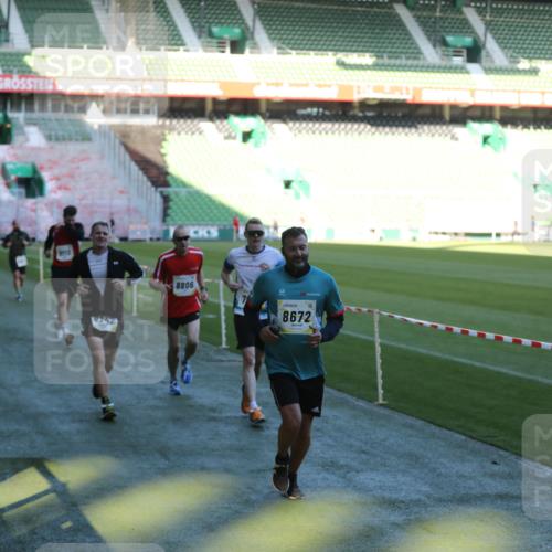 06.10.2024 - 19. swb-Marathon Bremen Yannick Fuchs http://msf.ph/oto/7384936 06.10.2024 10:25:27 Laufen im Stadion 7260, 7496, 7756, 7826, 7906, 8228, 8242, 8310, 8412, 8445, 8478, 8497, 8517, 8666, 8671, 8672, 8680, 8713, 8715, 8749, 8806, 8812, 8905, 8939, 8975 meine-sportfotos.de
