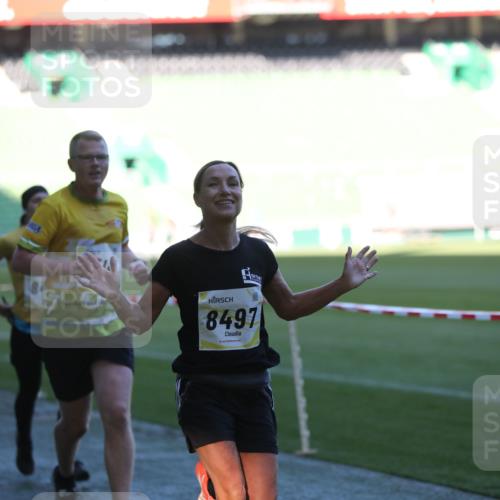 06.10.2024 - 19. swb-Marathon Bremen Yannick Fuchs http://msf.ph/oto/7385450 06.10.2024 10:25:42 Laufen im Stadion 7260, 7294, 7433, 7496, 7548, 7793, 7826, 7906, 8177, 8228, 8242, 8412, 8478, 8481, 8492, 8497, 8659, 8666, 8671, 8672, 8680, 8713, 8715, 8749, 8806, 8812, 8905, 8975, 9061 meine-sportfotos.de