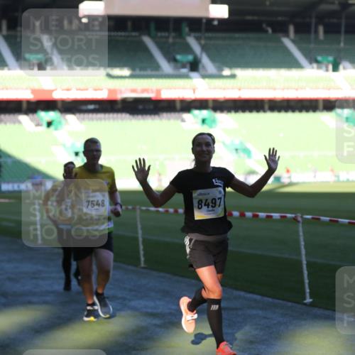 06.10.2024 - 19. swb-Marathon Bremen Yannick Fuchs http://msf.ph/oto/7385482 06.10.2024 10:25:42 Laufen im Stadion 7260, 7294, 7433, 7496, 7548, 7793, 7826, 7906, 8177, 8228, 8242, 8412, 8478, 8481, 8492, 8497, 8659, 8666, 8671, 8672, 8680, 8713, 8715, 8749, 8806, 8812, 8905, 8975, 9061 meine-sportfotos.de