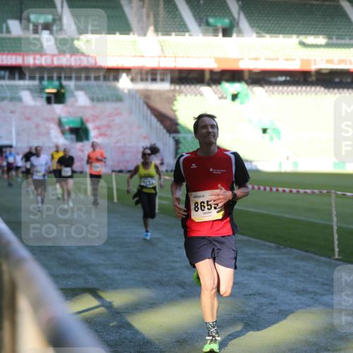 06.10.2024 - 19. swb-Marathon Bremen Yannick Fuchs http://msf.ph/oto/7385575 06.10.2024 10:25:44 Laufen im Stadion 7141, 7260, 7294, 7429, 7433, 7496, 7548, 7793, 7826, 7906, 8177, 8228, 8242, 8301, 8412, 8478, 8481, 8492, 8497, 8659, 8666, 8671, 8672, 8680, 8713, 8715, 8749, 8806, 8812, 8905, 8975, 9061 meine-sportfotos.de