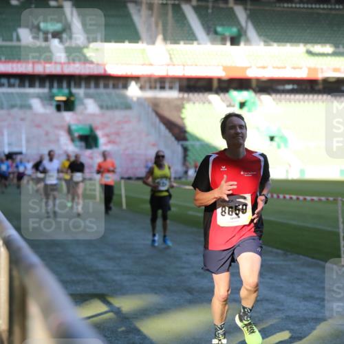 06.10.2024 - 19. swb-Marathon Bremen Yannick Fuchs http://msf.ph/oto/7385583 06.10.2024 10:25:44 Laufen im Stadion 7141, 7260, 7294, 7429, 7433, 7496, 7548, 7793, 7826, 7906, 8177, 8228, 8242, 8301, 8412, 8478, 8481, 8492, 8497, 8659, 8666, 8671, 8672, 8680, 8713, 8715, 8749, 8806, 8812, 8905, 8975, 9061 meine-sportfotos.de