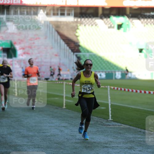 06.10.2024 - 19. swb-Marathon Bremen Yannick Fuchs http://msf.ph/oto/7385624 06.10.2024 10:25:45 Laufen im Stadion 7141, 7260, 7294, 7429, 7433, 7496, 7548, 7793, 7826, 7906, 8177, 8228, 8242, 8301, 8412, 8478, 8481, 8492, 8497, 8659, 8666, 8671, 8672, 8680, 8713, 8715, 8749, 8806, 8812, 8905, 8975, 9061 meine-sportfotos.de