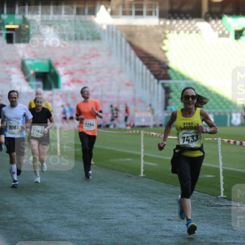 06.10.2024 - 19. swb-Marathon Bremen Yannick Fuchs http://msf.ph/oto/7385638 06.10.2024 10:25:45 Laufen im Stadion 7141, 7260, 7294, 7429, 7433, 7496, 7548, 7793, 7826, 7906, 8177, 8228, 8242, 8301, 8412, 8478, 8481, 8492, 8497, 8659, 8666, 8671, 8672, 8680, 8713, 8715, 8749, 8806, 8812, 8905, 8975, 9061 meine-sportfotos.de