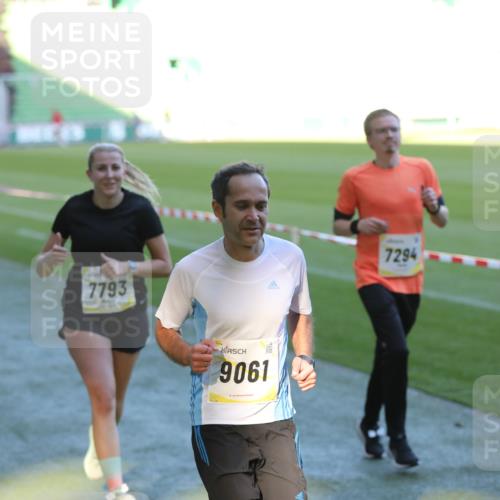 06.10.2024 - 19. swb-Marathon Bremen Yannick Fuchs http://msf.ph/oto/7385744 06.10.2024 10:25:51 Laufen im Stadion 7141, 7294, 7429, 7433, 7485, 7496, 7548, 7771, 7793, 7826, 7906, 8177, 8228, 8242, 8301, 8426, 8481, 8492, 8497, 8555, 8659, 8666, 8671, 8672, 8713, 8715, 8775, 8793, 8806, 8812, 8905, 9034, 9061 meine-sportfotos.de