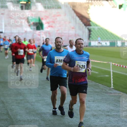 06.10.2024 - 19. swb-Marathon Bremen Yannick Fuchs http://msf.ph/oto/7385950 06.10.2024 10:25:57 Laufen im Stadion 7141, 7294, 7403, 7429, 7433, 7485, 7496, 7508, 7548, 7771, 7793, 7826, 7978, 8075, 8177, 8242, 8301, 8321, 8426, 8481, 8492, 8497, 8555, 8659, 8672, 8713, 8715, 8775, 8793, 8806, 8812, 8905, 8996, 8997, 9034, 9061 meine-sportfotos.de