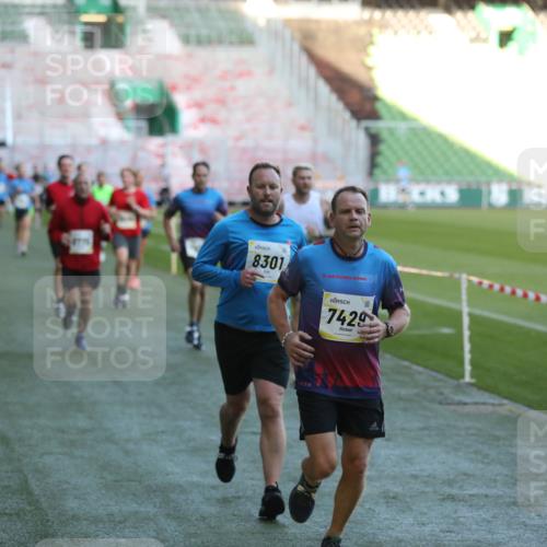 06.10.2024 - 19. swb-Marathon Bremen Yannick Fuchs http://msf.ph/oto/7385957 06.10.2024 10:25:57 Laufen im Stadion 7141, 7294, 7403, 7429, 7433, 7485, 7496, 7508, 7548, 7771, 7793, 7826, 7978, 8075, 8177, 8242, 8301, 8321, 8426, 8481, 8492, 8497, 8555, 8659, 8672, 8713, 8715, 8775, 8793, 8806, 8812, 8905, 8996, 8997, 9034, 9061 meine-sportfotos.de