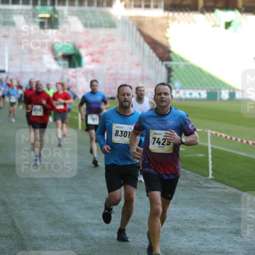 06.10.2024 - 19. swb-Marathon Bremen Yannick Fuchs http://msf.ph/oto/7385964 06.10.2024 10:25:58 Laufen im Stadion 7141, 7294, 7403, 7429, 7433, 7485, 7496, 7508, 7548, 7771, 7793, 7826, 7978, 8075, 8177, 8242, 8301, 8321, 8426, 8481, 8492, 8497, 8555, 8659, 8713, 8715, 8775, 8793, 8806, 8812, 8905, 8913, 8996, 8997, 9034, 9061 meine-sportfotos.de