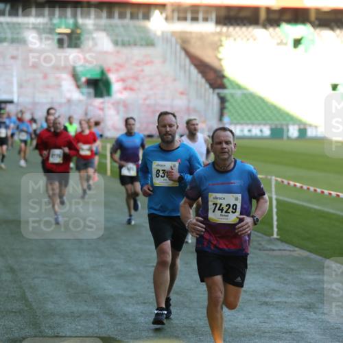06.10.2024 - 19. swb-Marathon Bremen Yannick Fuchs http://msf.ph/oto/7385973 06.10.2024 10:25:58 Laufen im Stadion 7141, 7294, 7403, 7429, 7433, 7485, 7496, 7508, 7548, 7771, 7793, 7826, 7978, 8075, 8177, 8242, 8301, 8321, 8426, 8481, 8492, 8497, 8555, 8659, 8713, 8715, 8775, 8793, 8806, 8812, 8905, 8913, 8996, 8997, 9034, 9061 meine-sportfotos.de