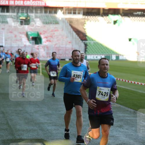 06.10.2024 - 19. swb-Marathon Bremen Yannick Fuchs http://msf.ph/oto/7385983 06.10.2024 10:25:58 Laufen im Stadion 7141, 7294, 7403, 7429, 7433, 7485, 7496, 7508, 7548, 7771, 7793, 7826, 7978, 8075, 8177, 8242, 8301, 8321, 8426, 8481, 8492, 8497, 8555, 8659, 8713, 8715, 8775, 8793, 8806, 8812, 8905, 8913, 8996, 8997, 9034, 9061 meine-sportfotos.de
