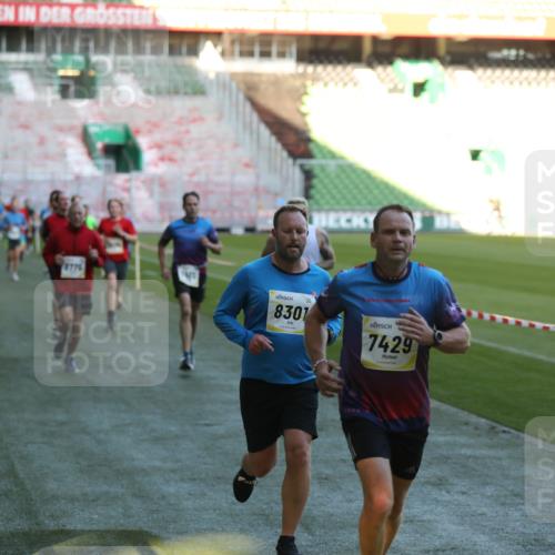 06.10.2024 - 19. swb-Marathon Bremen Yannick Fuchs http://msf.ph/oto/7385994 06.10.2024 10:25:58 Laufen im Stadion 7141, 7294, 7403, 7429, 7433, 7485, 7496, 7508, 7548, 7771, 7793, 7826, 7978, 8075, 8177, 8242, 8301, 8321, 8426, 8481, 8492, 8497, 8555, 8659, 8713, 8715, 8775, 8793, 8806, 8812, 8905, 8913, 8996, 8997, 9034, 9061 meine-sportfotos.de