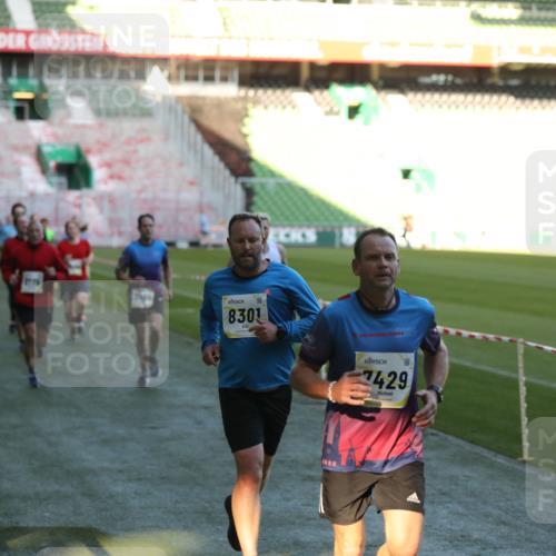 06.10.2024 - 19. swb-Marathon Bremen Yannick Fuchs http://msf.ph/oto/7386018 06.10.2024 10:25:59 Laufen im Stadion 7141, 7294, 7403, 7429, 7433, 7485, 7496, 7508, 7548, 7771, 7793, 7978, 8075, 8177, 8242, 8301, 8321, 8426, 8481, 8492, 8497, 8555, 8659, 8713, 8715, 8775, 8793, 8806, 8905, 8913, 8996, 8997, 9034, 9061 meine-sportfotos.de