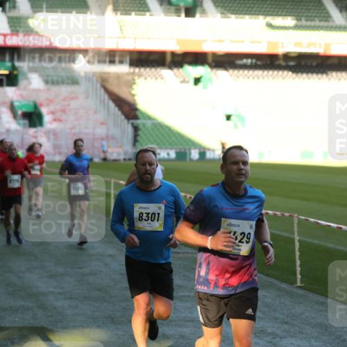 06.10.2024 - 19. swb-Marathon Bremen Yannick Fuchs http://msf.ph/oto/7386031 06.10.2024 10:25:59 Laufen im Stadion 7141, 7294, 7403, 7429, 7433, 7485, 7496, 7508, 7548, 7771, 7793, 7978, 8075, 8177, 8242, 8301, 8321, 8426, 8481, 8492, 8497, 8555, 8659, 8713, 8715, 8775, 8793, 8806, 8905, 8913, 8996, 8997, 9034, 9061 meine-sportfotos.de