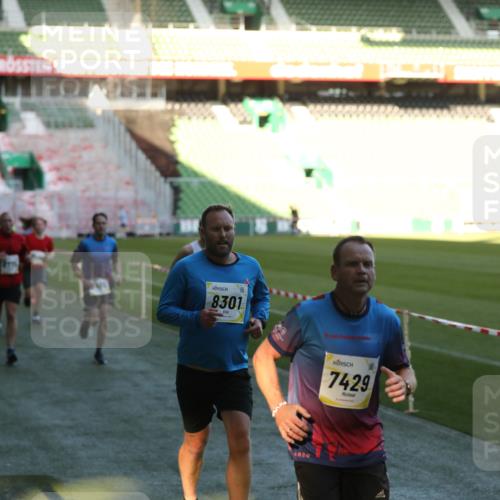 06.10.2024 - 19. swb-Marathon Bremen Yannick Fuchs http://msf.ph/oto/7386046 06.10.2024 10:25:59 Laufen im Stadion 7141, 7294, 7403, 7429, 7433, 7485, 7496, 7508, 7548, 7771, 7793, 7978, 8075, 8177, 8242, 8301, 8321, 8426, 8481, 8492, 8497, 8555, 8659, 8713, 8715, 8775, 8793, 8806, 8905, 8913, 8996, 8997, 9034, 9061 meine-sportfotos.de