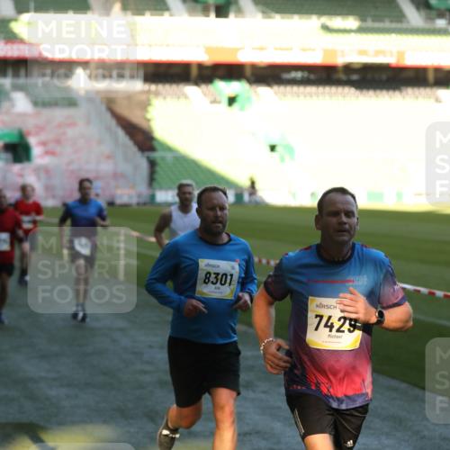 06.10.2024 - 19. swb-Marathon Bremen Yannick Fuchs http://msf.ph/oto/7386058 06.10.2024 10:25:59 Laufen im Stadion 7141, 7294, 7403, 7429, 7433, 7485, 7496, 7508, 7548, 7771, 7793, 7978, 8075, 8177, 8242, 8301, 8321, 8426, 8481, 8492, 8497, 8555, 8659, 8713, 8715, 8775, 8793, 8806, 8905, 8913, 8996, 8997, 9034, 9061 meine-sportfotos.de