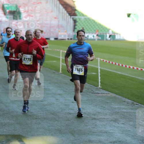 06.10.2024 - 19. swb-Marathon Bremen Yannick Fuchs http://msf.ph/oto/7386091 06.10.2024 10:26:01 Laufen im Stadion 7141, 7294, 7327, 7403, 7429, 7433, 7485, 7496, 7508, 7548, 7771, 7793, 7978, 8075, 8177, 8301, 8321, 8376, 8426, 8481, 8492, 8497, 8555, 8601, 8659, 8713, 8715, 8775, 8793, 8814, 8905, 8913, 8973, 8996, 8997, 9034, 9061 meine-sportfotos.de