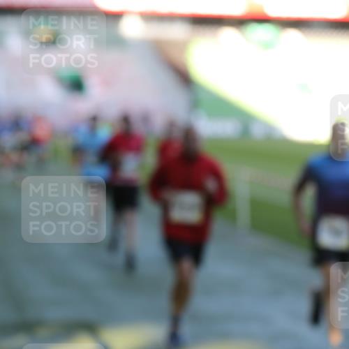 06.10.2024 - 19. swb-Marathon Bremen Yannick Fuchs http://msf.ph/oto/7386107 06.10.2024 10:26:02 Laufen im Stadion 7141, 7294, 7327, 7403, 7414, 7429, 7433, 7485, 7496, 7508, 7548, 7771, 7793, 7978, 8075, 8177, 8301, 8321, 8376, 8426, 8481, 8492, 8497, 8555, 8601, 8659, 8715, 8775, 8793, 8814, 8905, 8913, 8973, 8996, 8997, 9034, 9061, 9084 meine-sportfotos.de