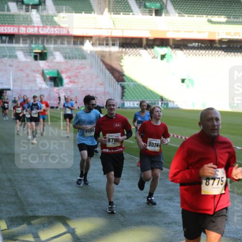 06.10.2024 - 19. swb-Marathon Bremen Yannick Fuchs http://msf.ph/oto/7386120 06.10.2024 10:26:03 Laufen im Stadion 7141, 7294, 7327, 7403, 7414, 7429, 7433, 7485, 7496, 7508, 7548, 7771, 7793, 7978, 8075, 8177, 8301, 8321, 8376, 8426, 8481, 8492, 8497, 8555, 8601, 8659, 8715, 8775, 8793, 8814, 8905, 8913, 8973, 8996, 8997, 9034, 9051, 9061, 9084 meine-sportfotos.de