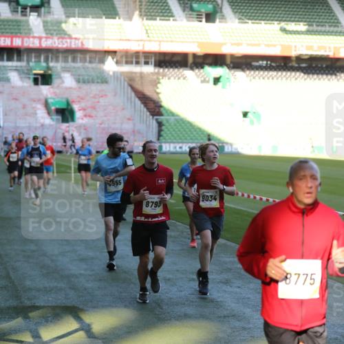06.10.2024 - 19. swb-Marathon Bremen Yannick Fuchs http://msf.ph/oto/7386127 06.10.2024 10:26:04 Laufen im Stadion 7045, 7141, 7294, 7327, 7403, 7414, 7429, 7433, 7485, 7496, 7508, 7548, 7771, 7793, 7978, 8075, 8177, 8301, 8321, 8376, 8426, 8481, 8492, 8497, 8555, 8601, 8659, 8775, 8793, 8814, 8905, 8913, 8973, 8996, 8997, 9034, 9051, 9061, 9084 meine-sportfotos.de