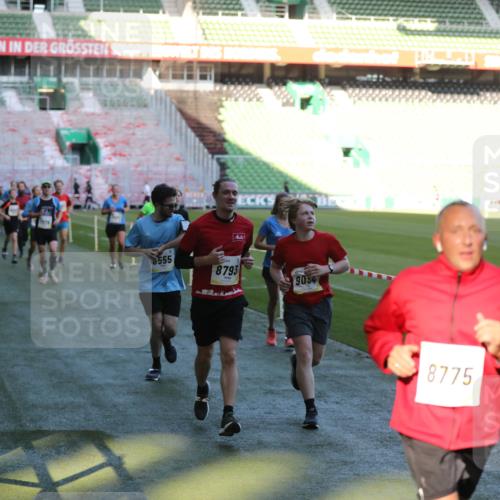 06.10.2024 - 19. swb-Marathon Bremen Yannick Fuchs http://msf.ph/oto/7386140 06.10.2024 10:26:04 Laufen im Stadion 7045, 7141, 7294, 7327, 7403, 7414, 7429, 7433, 7485, 7496, 7508, 7548, 7771, 7793, 7978, 8075, 8177, 8301, 8321, 8376, 8426, 8481, 8492, 8497, 8555, 8601, 8659, 8775, 8793, 8814, 8905, 8913, 8973, 8996, 8997, 9034, 9051, 9061, 9084 meine-sportfotos.de