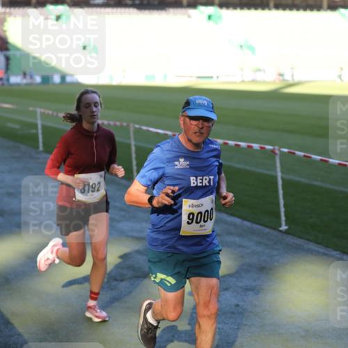 06.10.2024 - 19. swb-Marathon Bremen Yannick Fuchs http://msf.ph/oto/7387104 06.10.2024 10:26:27 Laufen im Stadion 7045, 7141, 7327, 7403, 7414, 7429, 7485, 7508, 7576, 7720, 7771, 7874, 7978, 8075, 8192, 8301, 8321, 8376, 8426, 8452, 8555, 8578, 8601, 8733, 8775, 8793, 8814, 8870, 8913, 8970, 8973, 8996, 8997, 9000, 9025, 9034, 9051, 9054, 9070, 9084 meine-sportfotos.de
