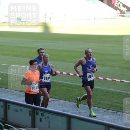 06.10.2024 - 19. swb-Marathon Bremen Yannick Fuchs http://msf.ph/oto/7387717 06.10.2024 10:26:56 Laufen im Stadion 7008, 7491, 7576, 7720, 7874, 7887, 7953, 8103, 8172, 8238, 8239, 8335, 8452, 8460, 8475, 8561, 8567, 8568, 8578, 8580, 8585, 8636, 8645, 8652, 8732, 8817, 8870, 8970, 9016, 9025, 9032, 9070, 9110 meine-sportfotos.de