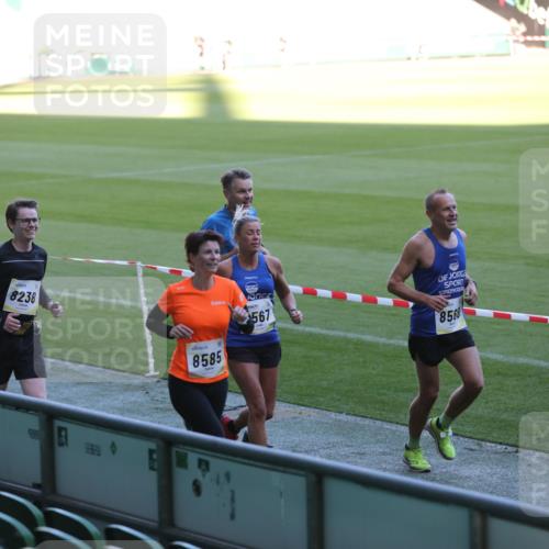 06.10.2024 - 19. swb-Marathon Bremen Yannick Fuchs http://msf.ph/oto/7387736 06.10.2024 10:26:56 Laufen im Stadion 7008, 7491, 7576, 7720, 7874, 7887, 7953, 8103, 8172, 8238, 8239, 8335, 8452, 8460, 8475, 8561, 8567, 8568, 8578, 8580, 8585, 8636, 8645, 8652, 8732, 8817, 8870, 8970, 9016, 9025, 9032, 9070, 9110 meine-sportfotos.de
